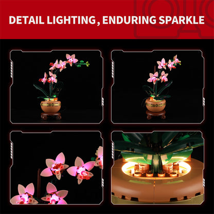 Briksmax 2.0 Light Kit For Mini Orchid 10343